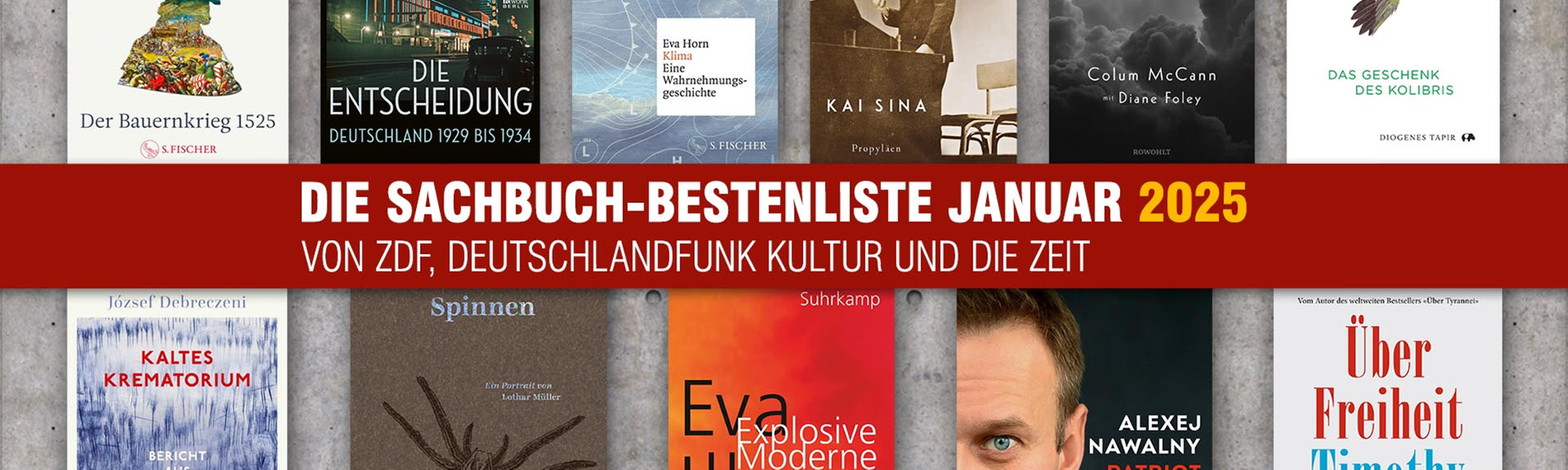 Die elf Buchcover der Sachbuchbestenliste Januar 2025.