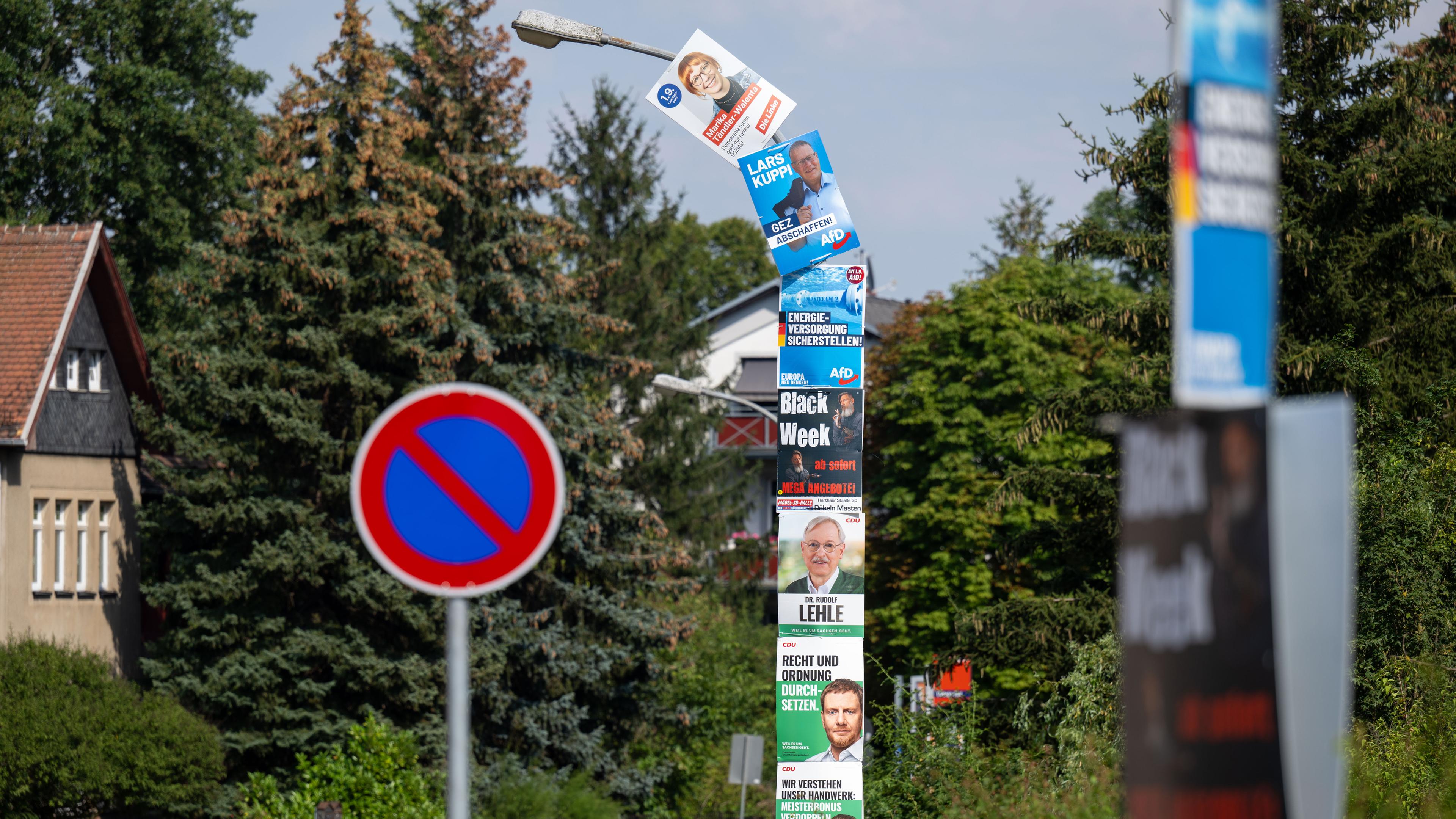 Zum Landtagswahlkampf in Sachsen hängen viele Wahlplakate an einer Straßenlaterne.