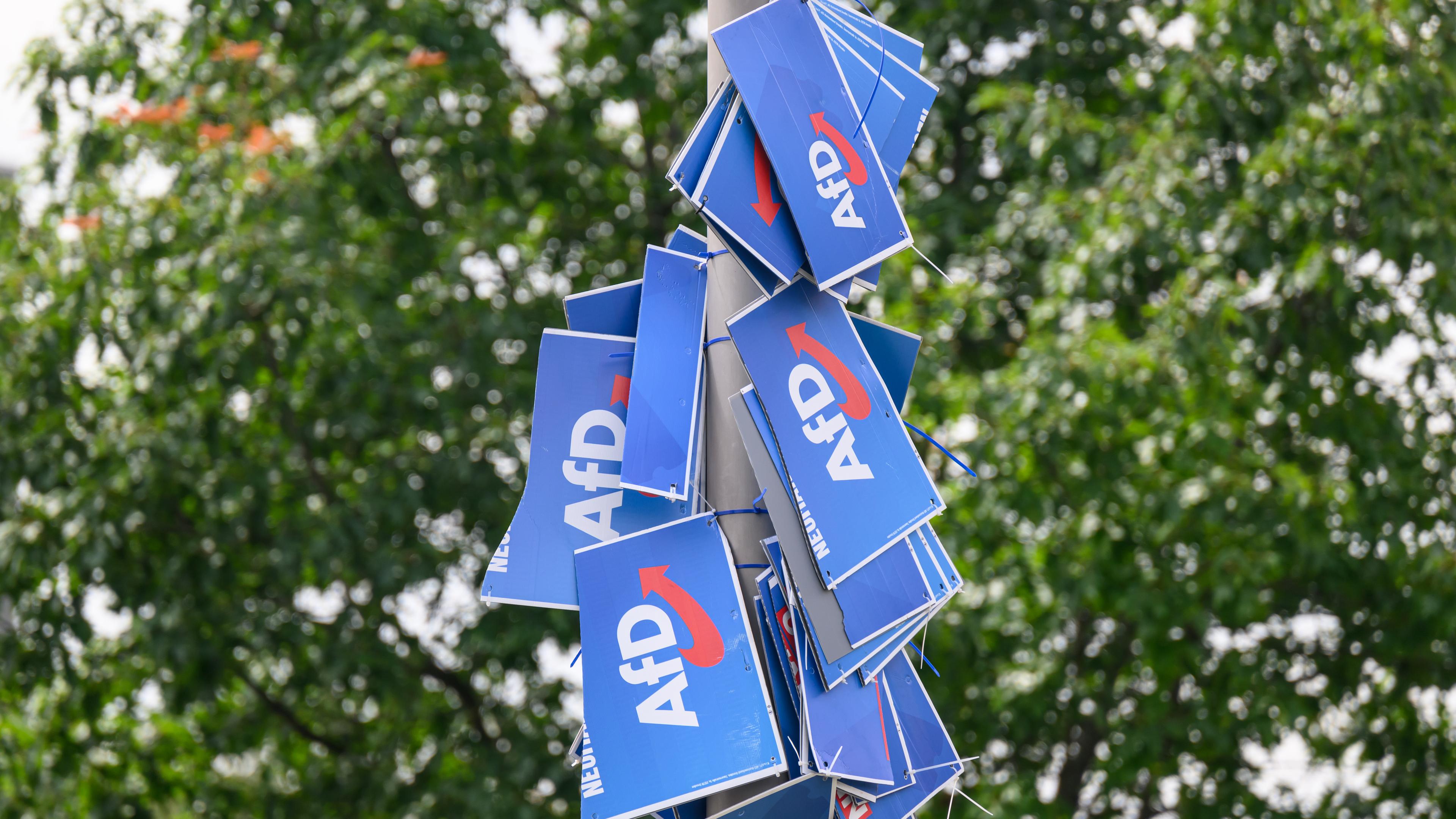  Wahlplakate der AfD hängen in der Innenstadt von Dresden an einem Lichtmast.