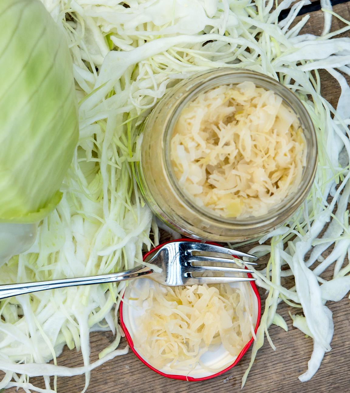 Ein Weißkohl-Kopf wird zusammen mit Sauerkraut im Einweckglas präsentiert.