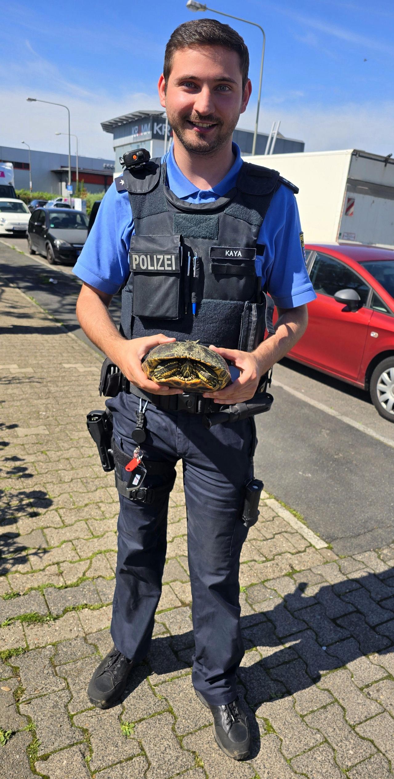 Frankfurt am Main: Eine Polizeibeamter hält eine Schildkröte in den Händen.