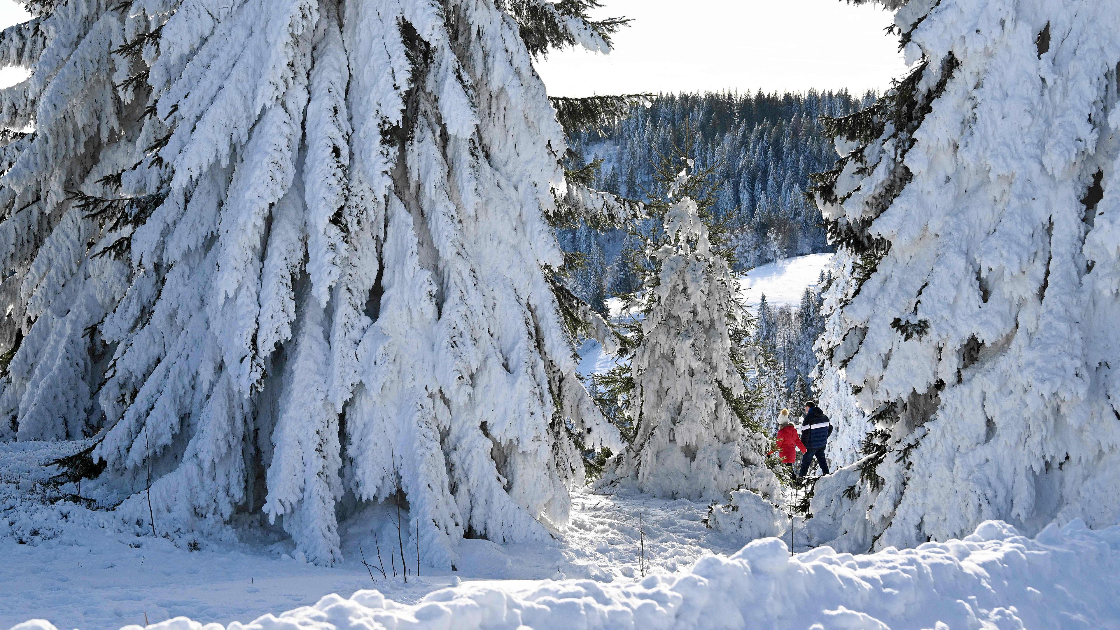 Menschen machen einen Spaziergang durch die verschneite Landschaft auf dem Feldberg, dem höchsten Berg im Schwarzwald in Süddeutschland, aufgenommen am 13.12.2024 