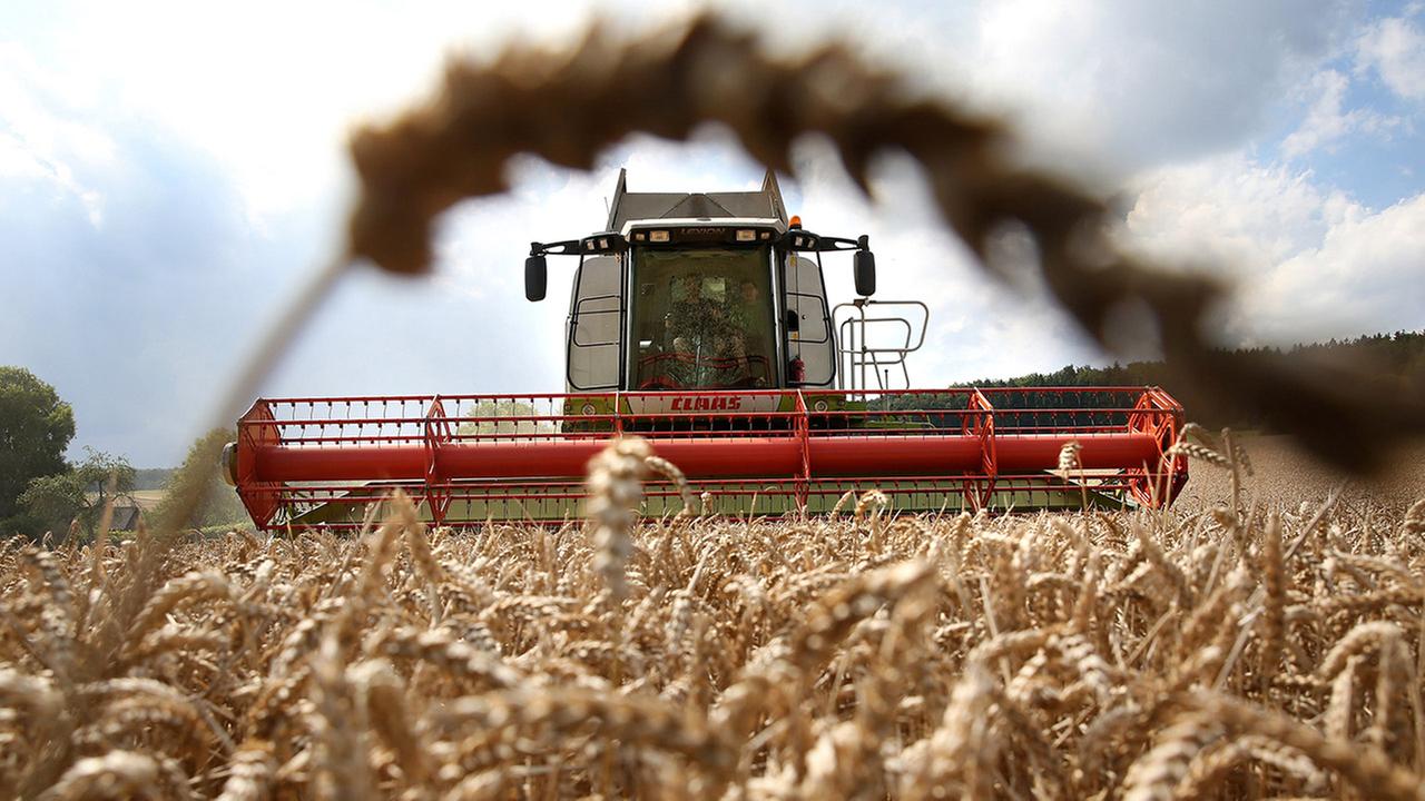 Schone Neue Landwirtschaft Zdfmediathek