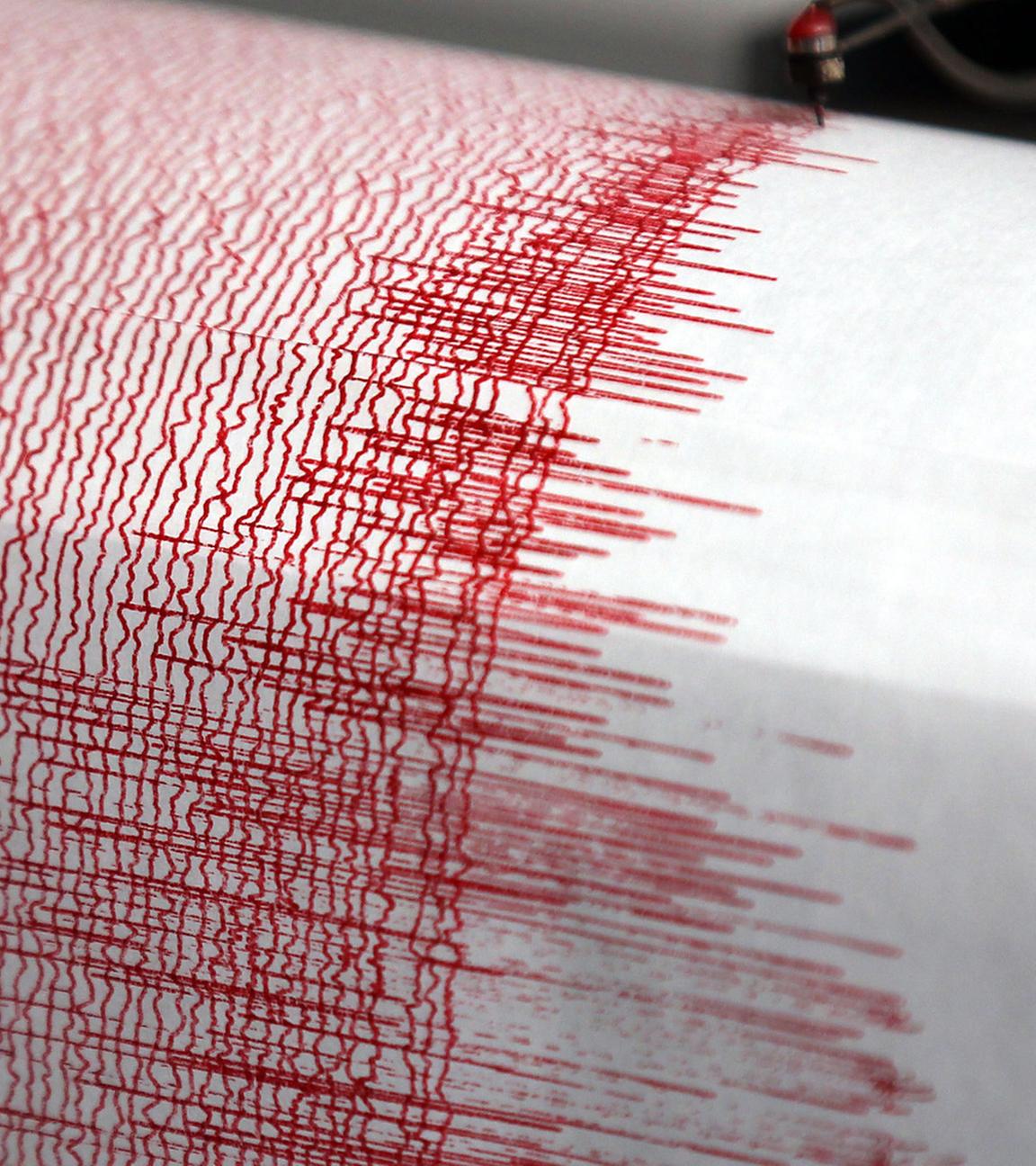 Archiv: Seismograph