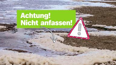 Logo!-sendungen - Logo! Am Montag, 04.02.2025 - Nachrichten, Einfach Erklärt