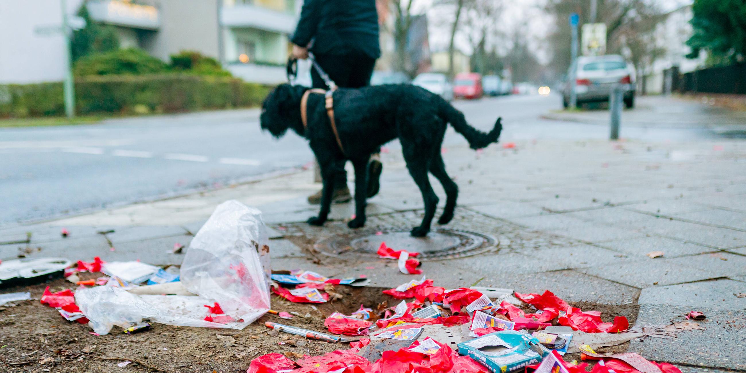 Mann geht mit Hund Gassi vorbei an abgebrannten Silvesterraketen