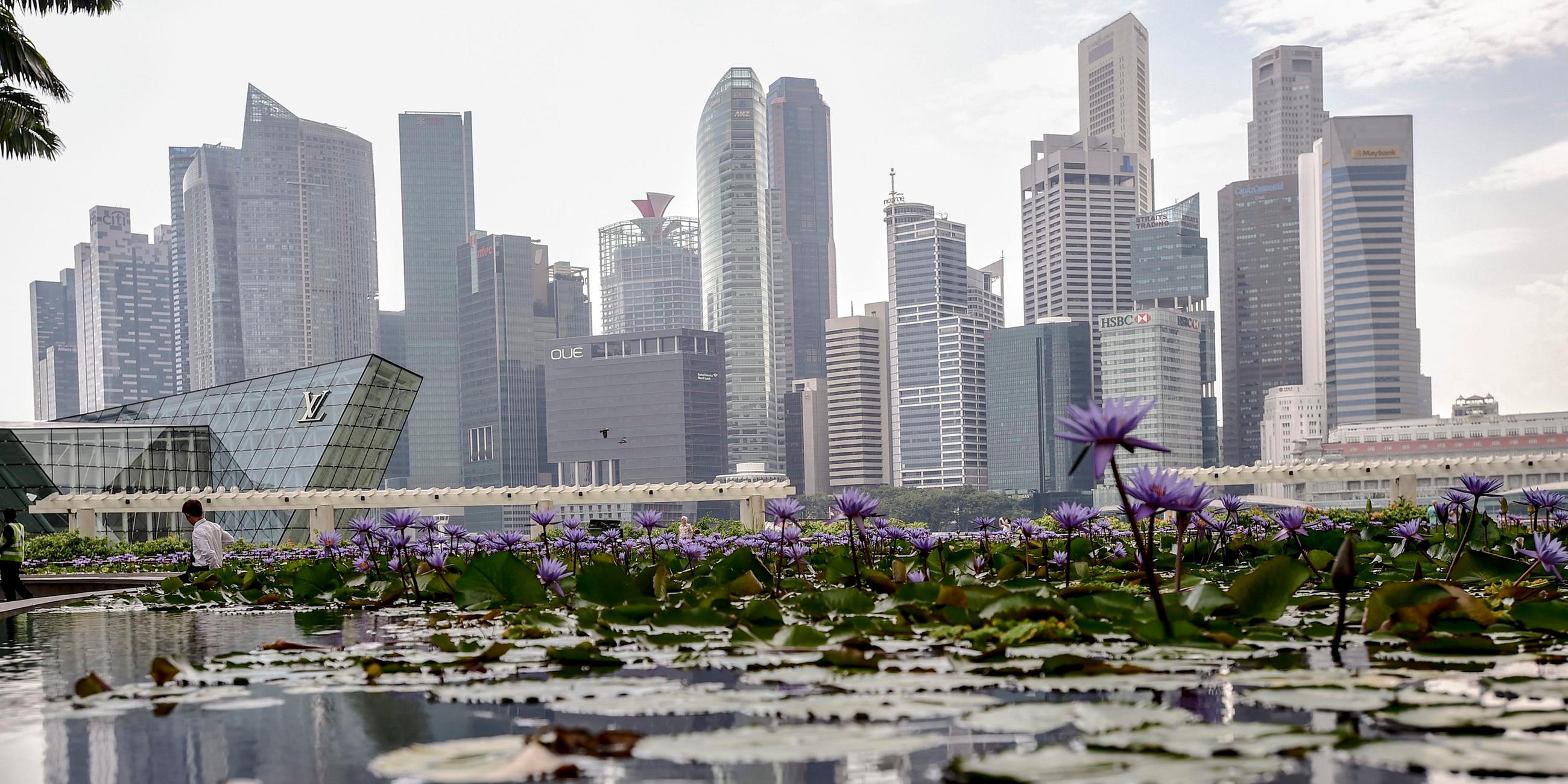 Singapurs Skyline gespiegelt in einem Lotusteich