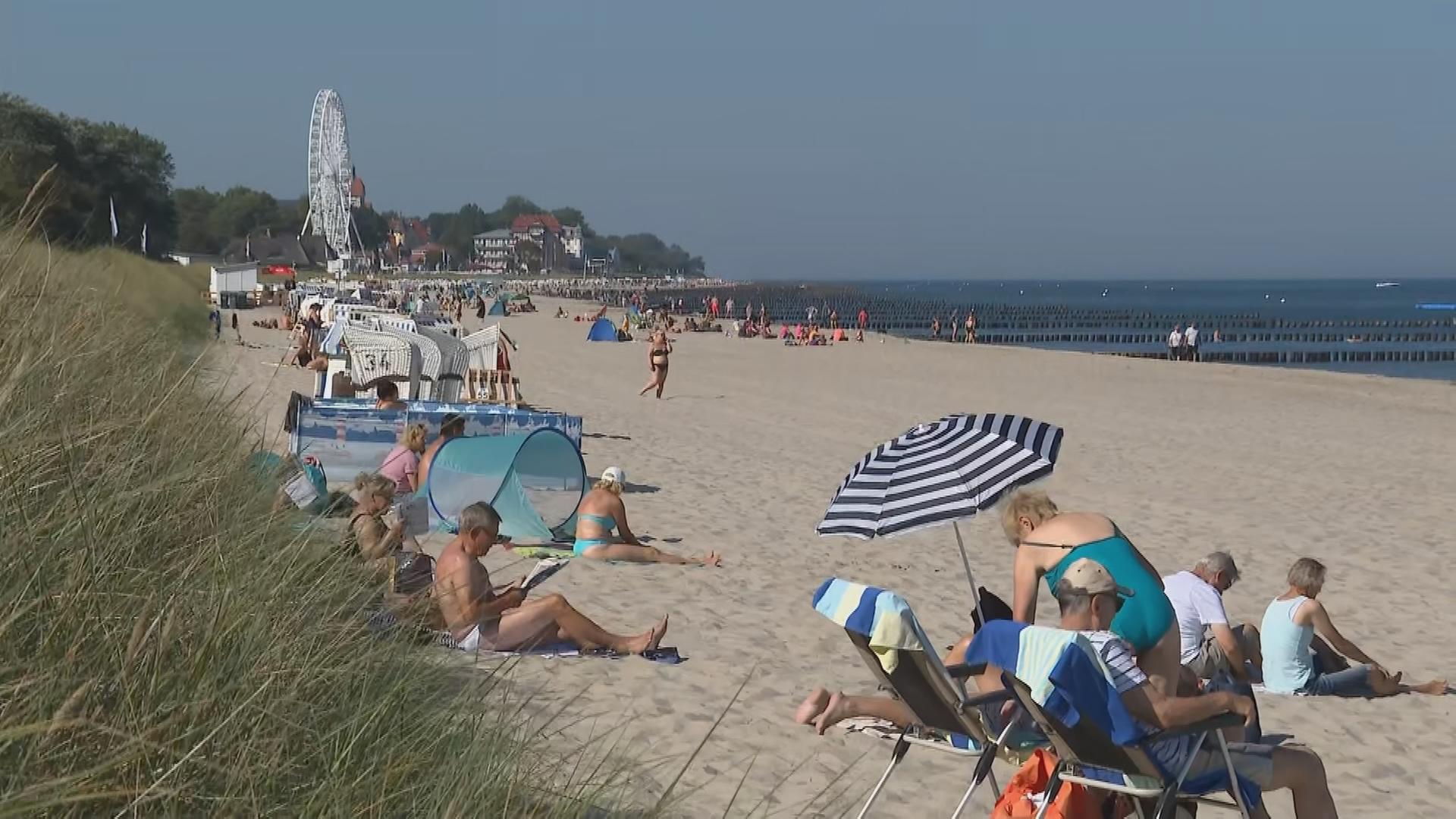 Nachrichten Aus Sachsen-Anhalt - ZDFheute