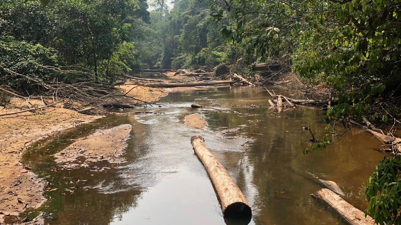 Sos Amazonas Apokalypse Im Regenwald Zdfmediathek