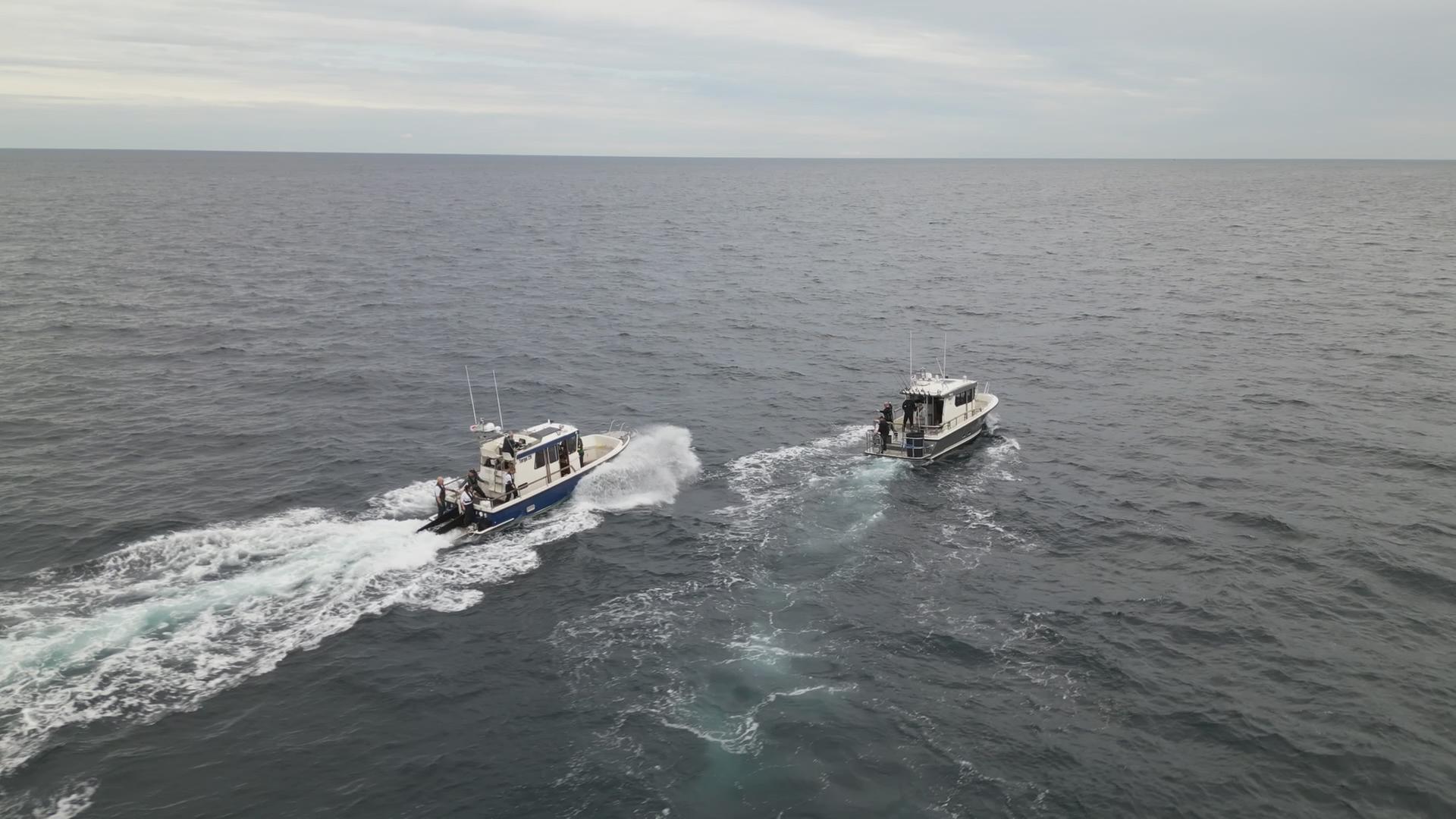 Das Markierungsschiff nimmt für die Fischübergabe Kurs auf das Schiff der Sportangler, die einen Thunfisch am Haken haben.