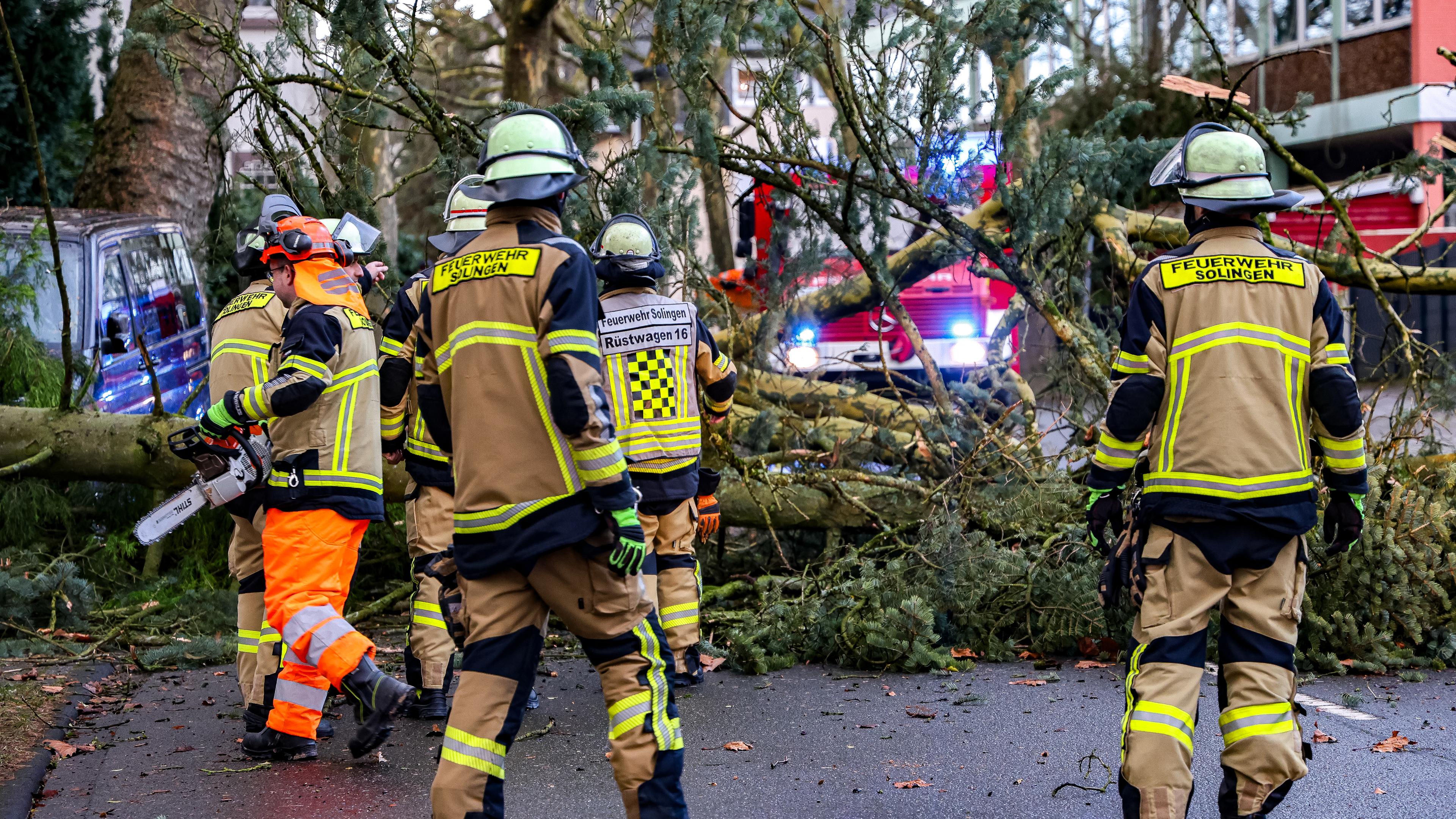 Einsatzkräfte der Feuerwehr zerkleinern einen umgestürzten Baum in Solingen.