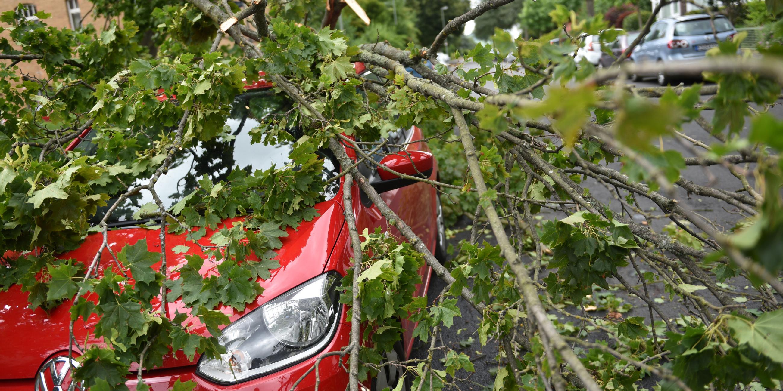 Ein Auto steht unter einem herabgestürzten Ast