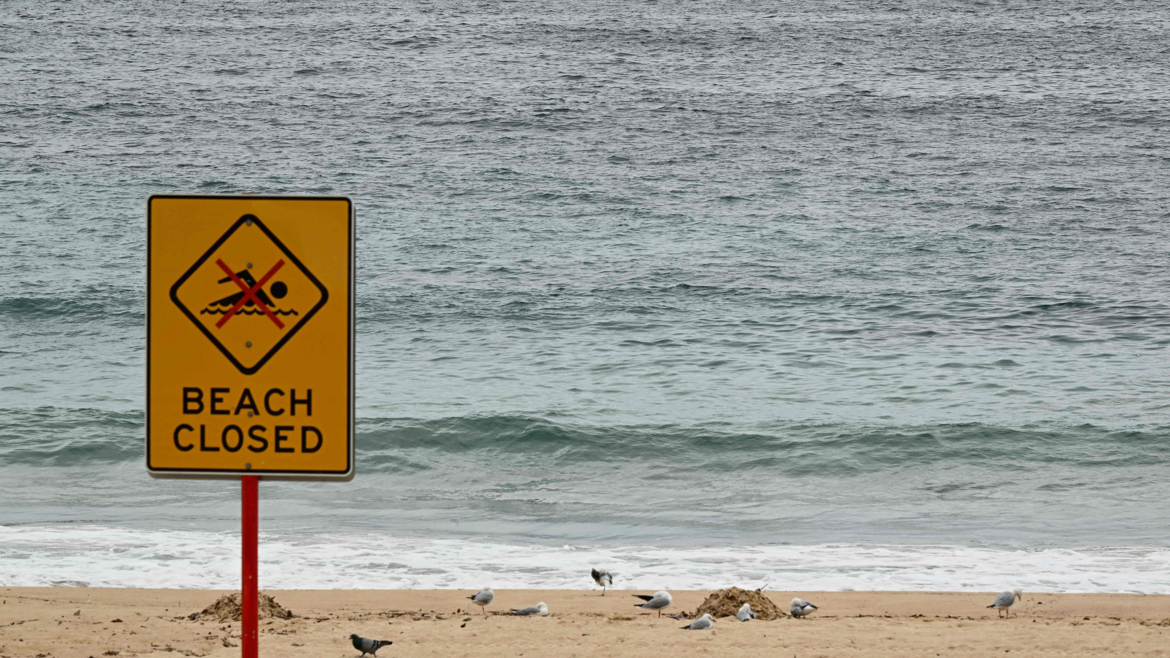 Ein Schild am Coogee Beach in Australien zeigt, dass der Strand gesperrt ist.