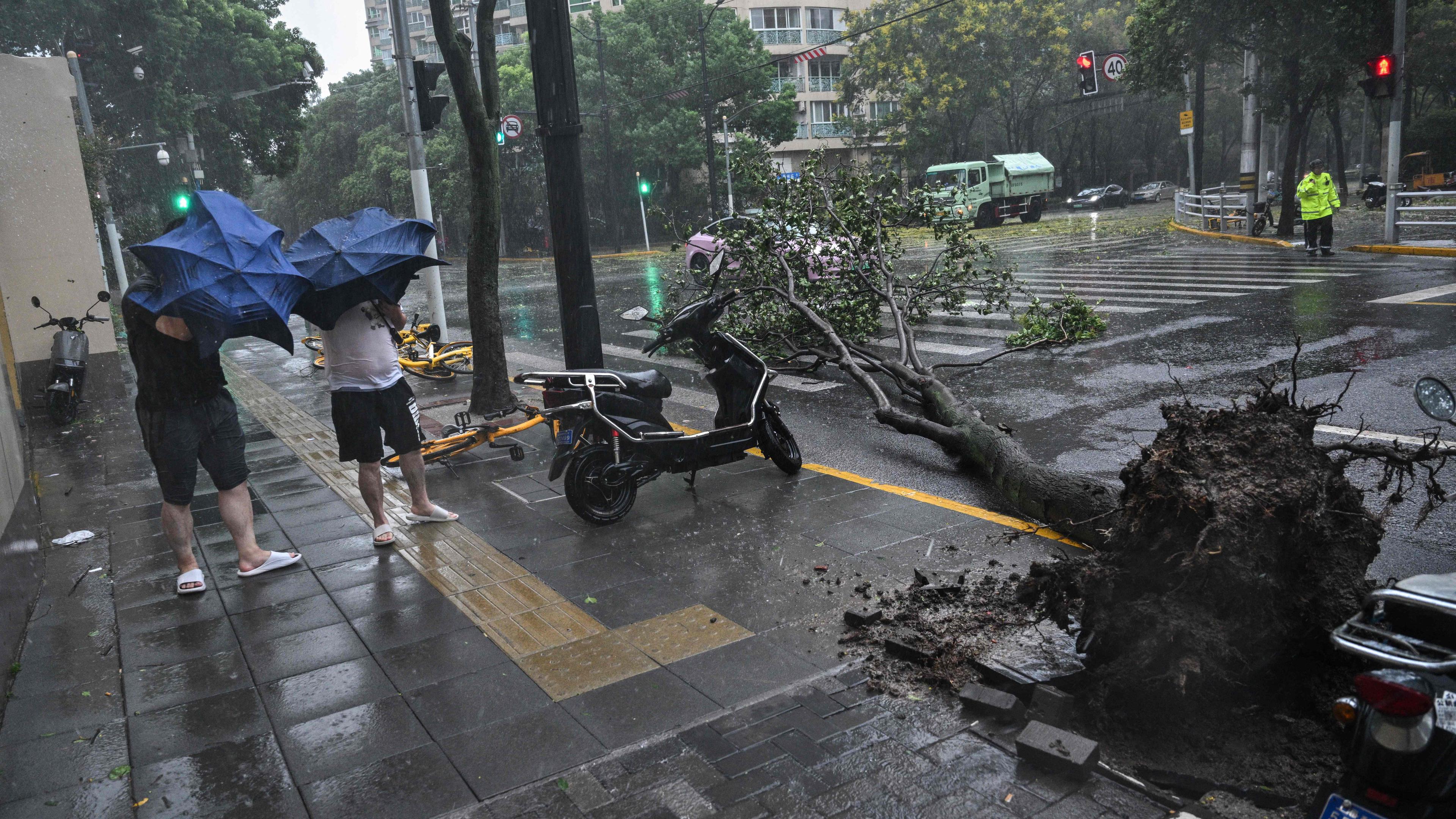 Fußgänger gehen an einem umgestürzten Baum vorbei und kämpfen mit ihren Regenschirmen bei starkem Wind und Regen vom Vorbeiziehen des Taifuns Bebinca in Shanghai am 16. September 2024.