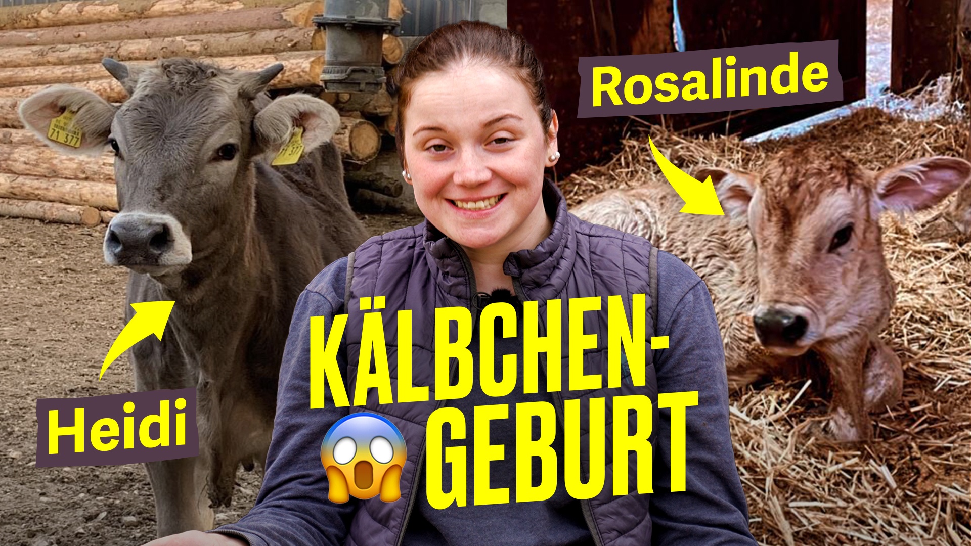 Kuh wird Mama: Kälbchengeburt auf Ronjas Hof (Farm Vlog) I Hundert Hektar Heimat
