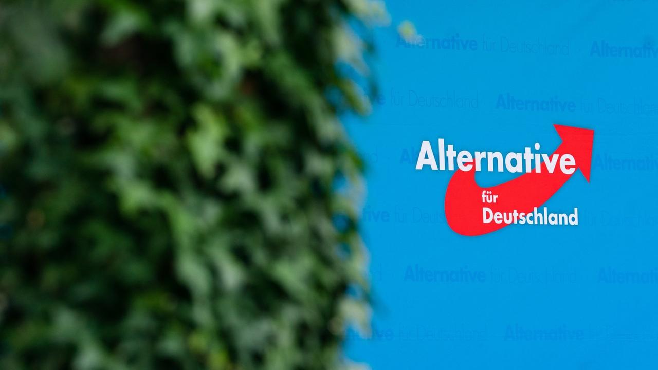 Debatte über AfD-Erfolge: Parteien Suchen Antworten - ZDFheute