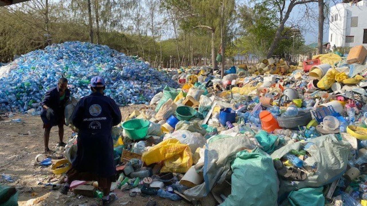 Karibu Afrika - Im Kampf Gegen Den Klimawandel - ZDFmediathek