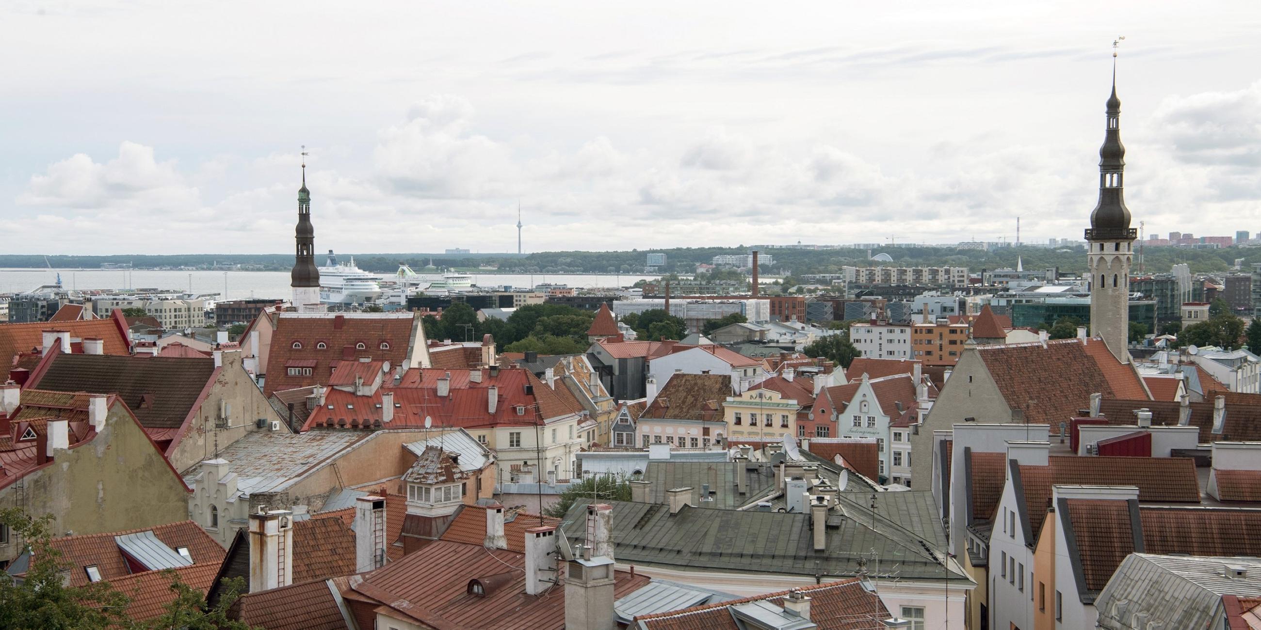 Blick über die Altstadt von Tallinn in Estland. 