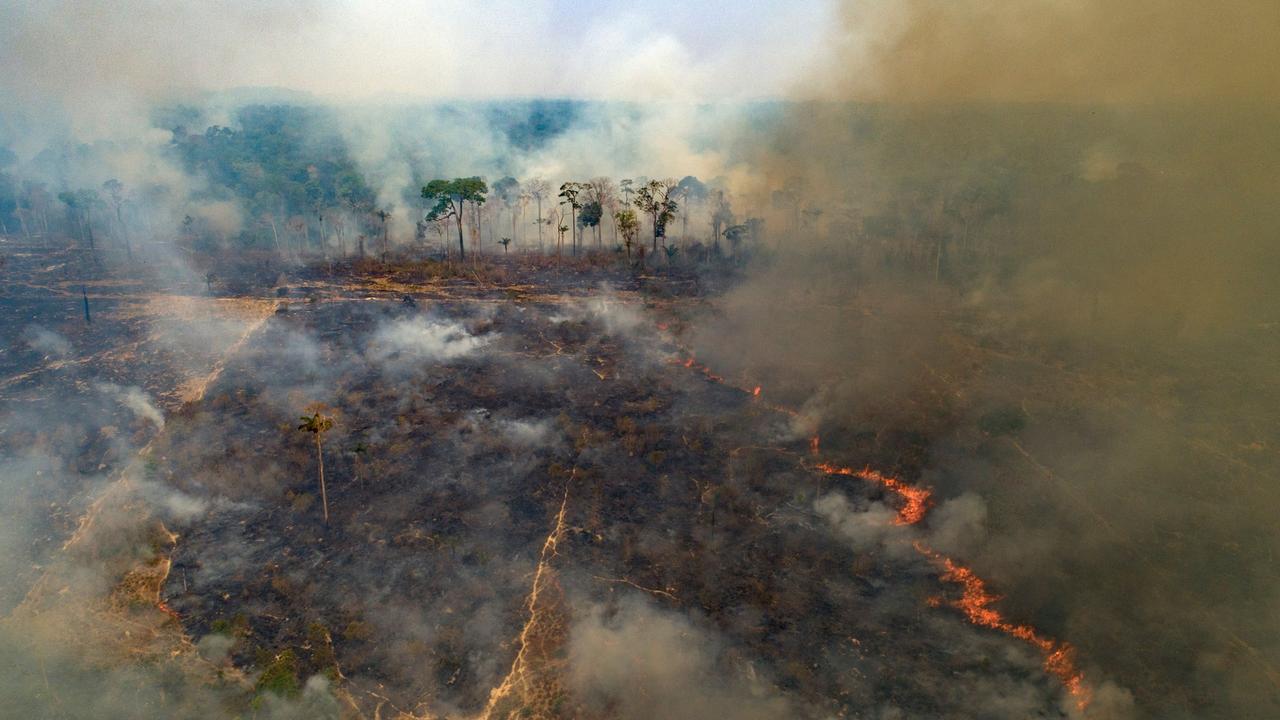Trotz Brandrodungs-Verbot: Wälder im Amazonas brennen weiter - ZDFheute