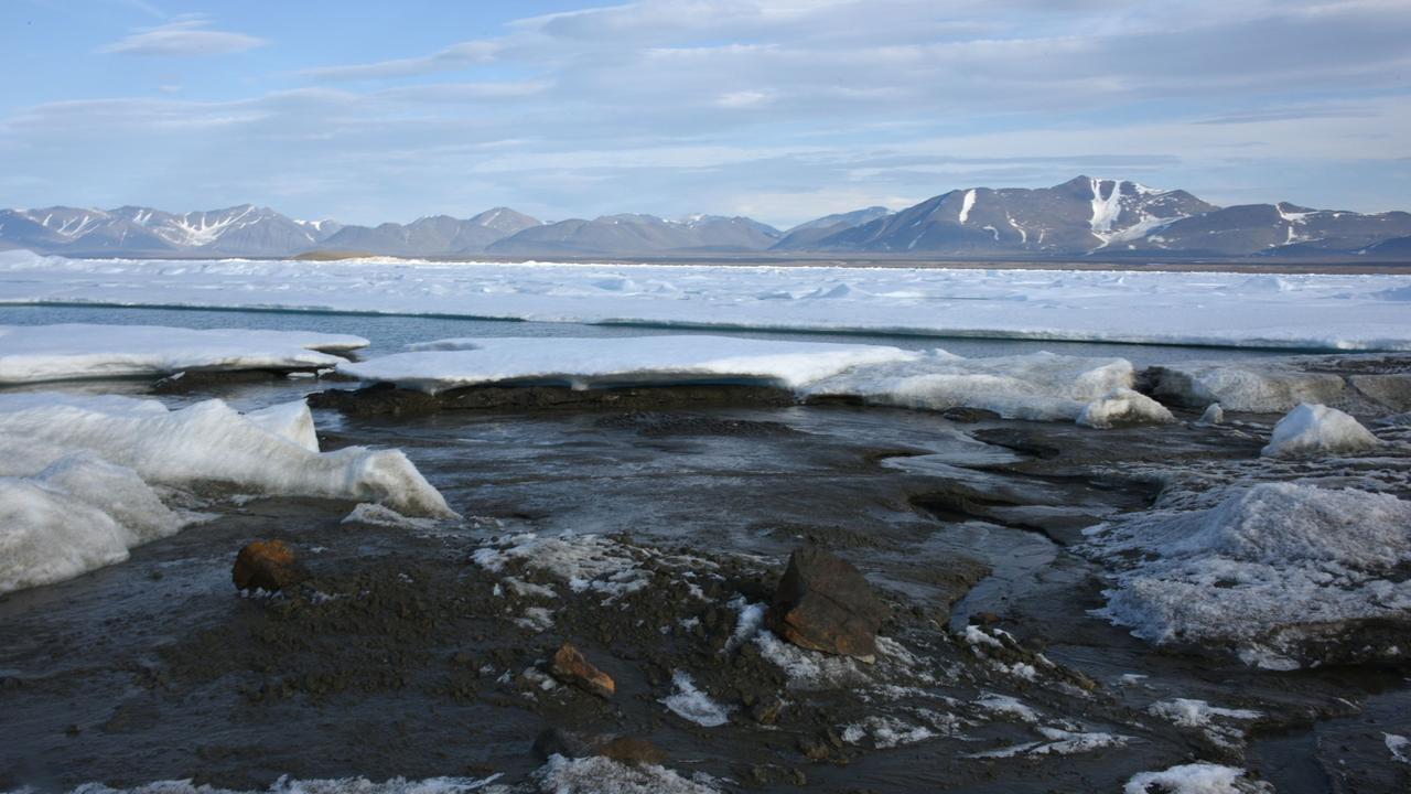 Die wohl nördlichste Insel der Welt entdeckt