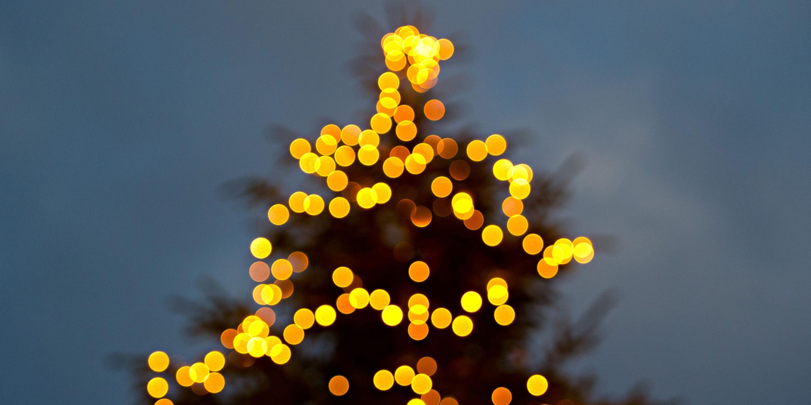 Ein mit Lichterkette beleuchteter Weihnachtsbaum. Symbolbild