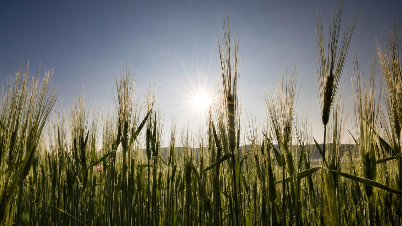 Wie Landwirtschaft in Zukunft aussehen soll