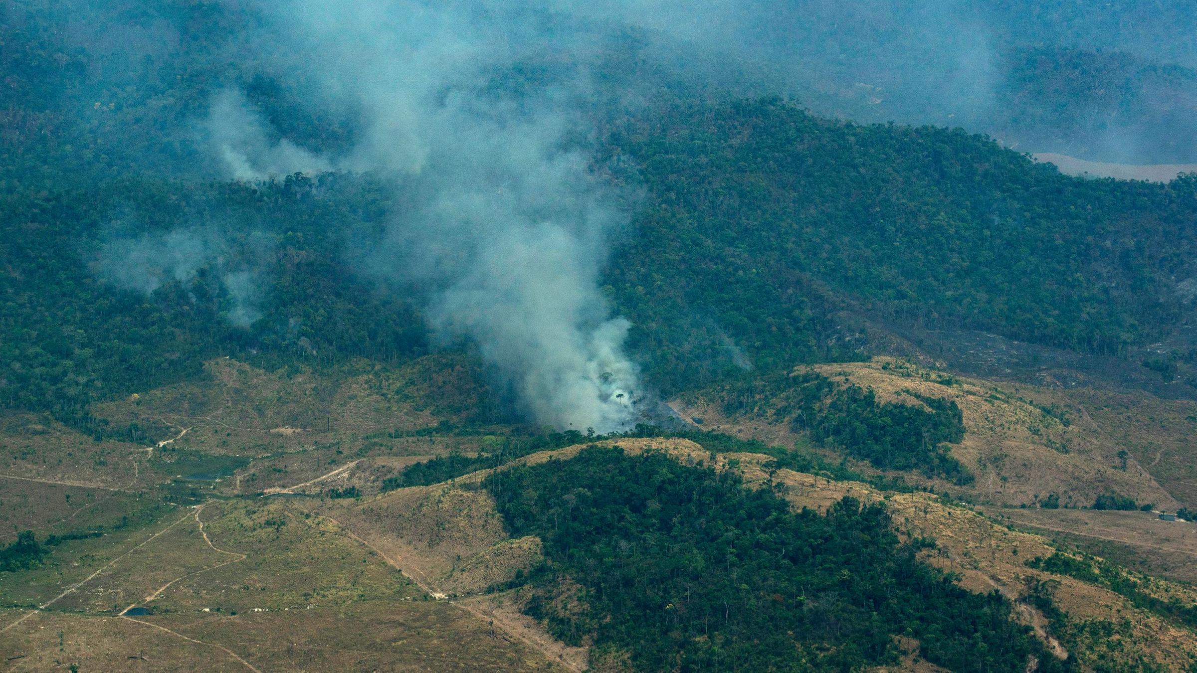 Folge Der Regenwald Abholzung Bank Verzichtet Auf Brasilianische Anleihen Zdfheute