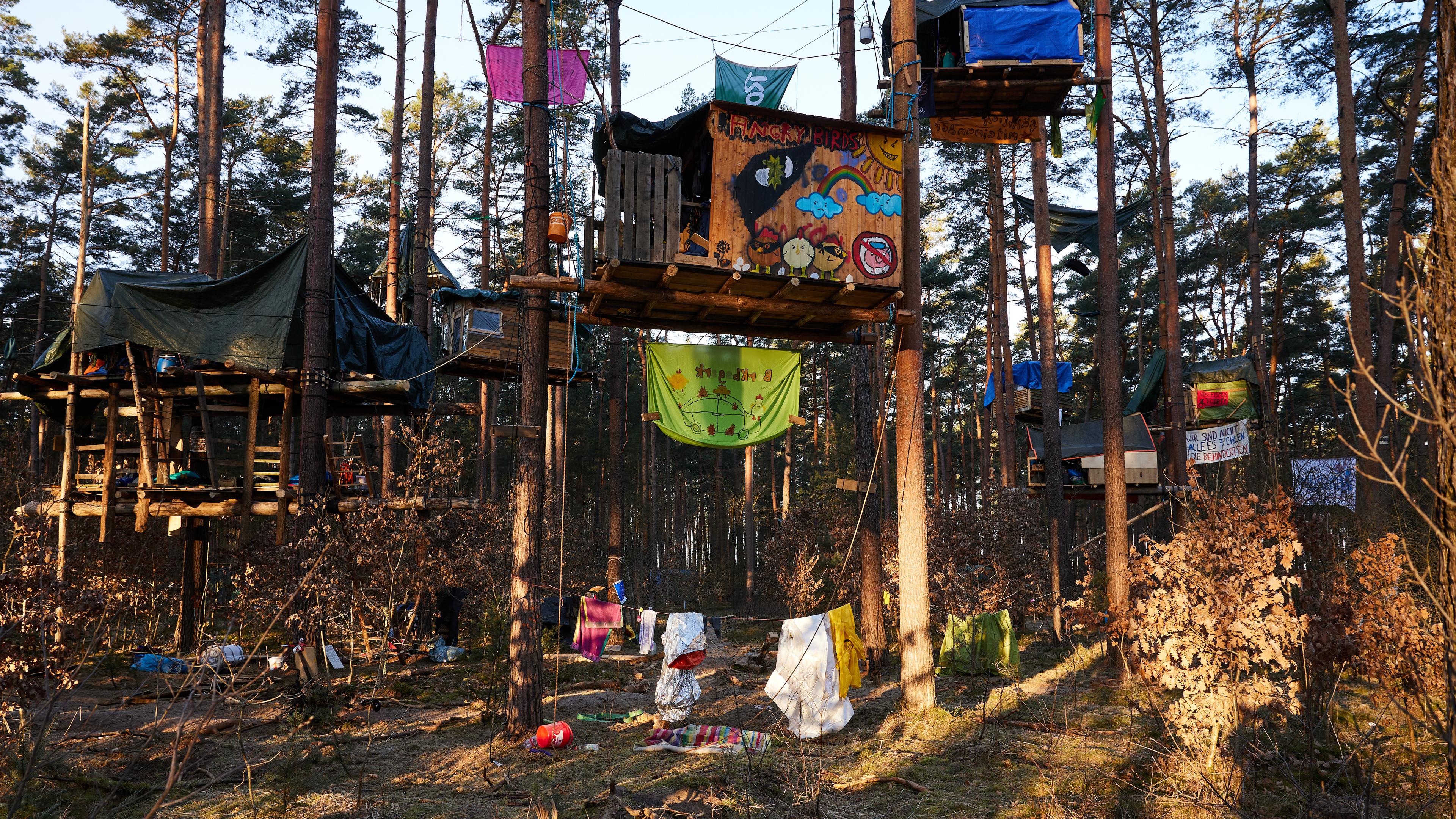 Baumhäuser hängen in einem Camp der Initiative "Tesla stoppen" in einem Kiefernwald nahe der Tesla-Gigafactory Berlin-Brandenburg.