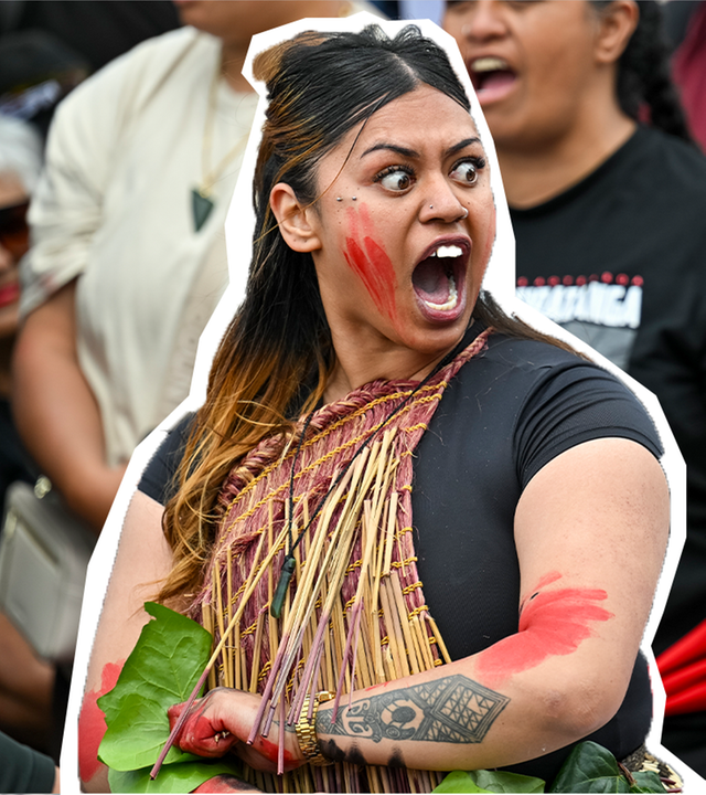 Thumb Maori-Protest