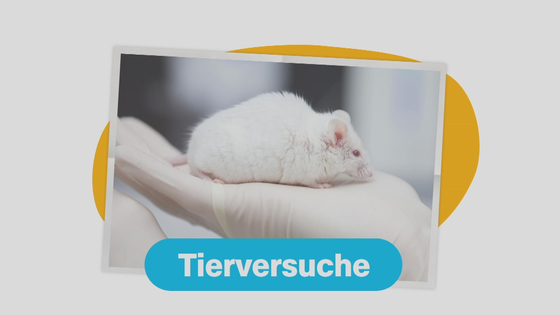 Tierversuche - Grafik