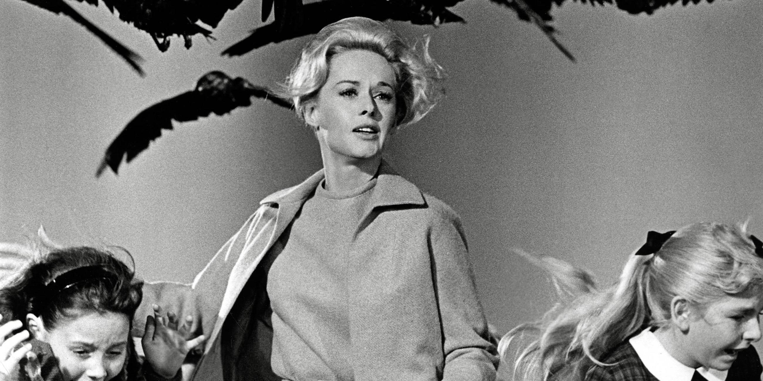 Die Schauspielerin Tippi Hedren in einer Szene aus dem Film "Die Vögel" von Alfred Hitchcock