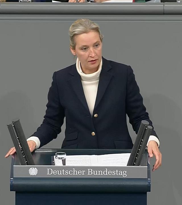 Alice Weidel spricht im Bundestag