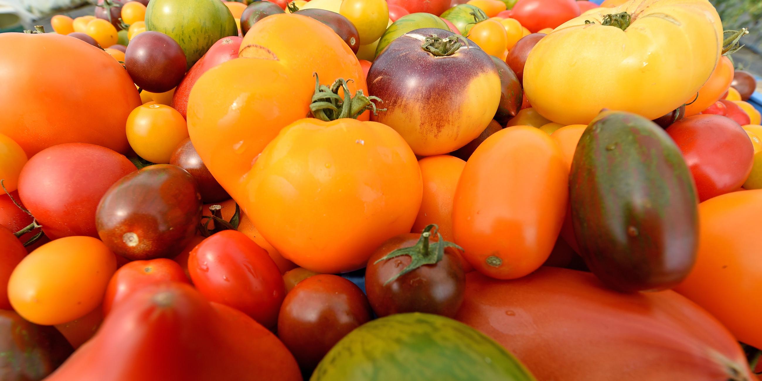 Verschiedene Tomatensorten angehäuft