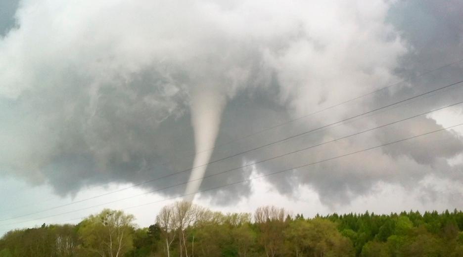 Ein Tornado in Deutschland über Baumkronen eines Waldstücks. 