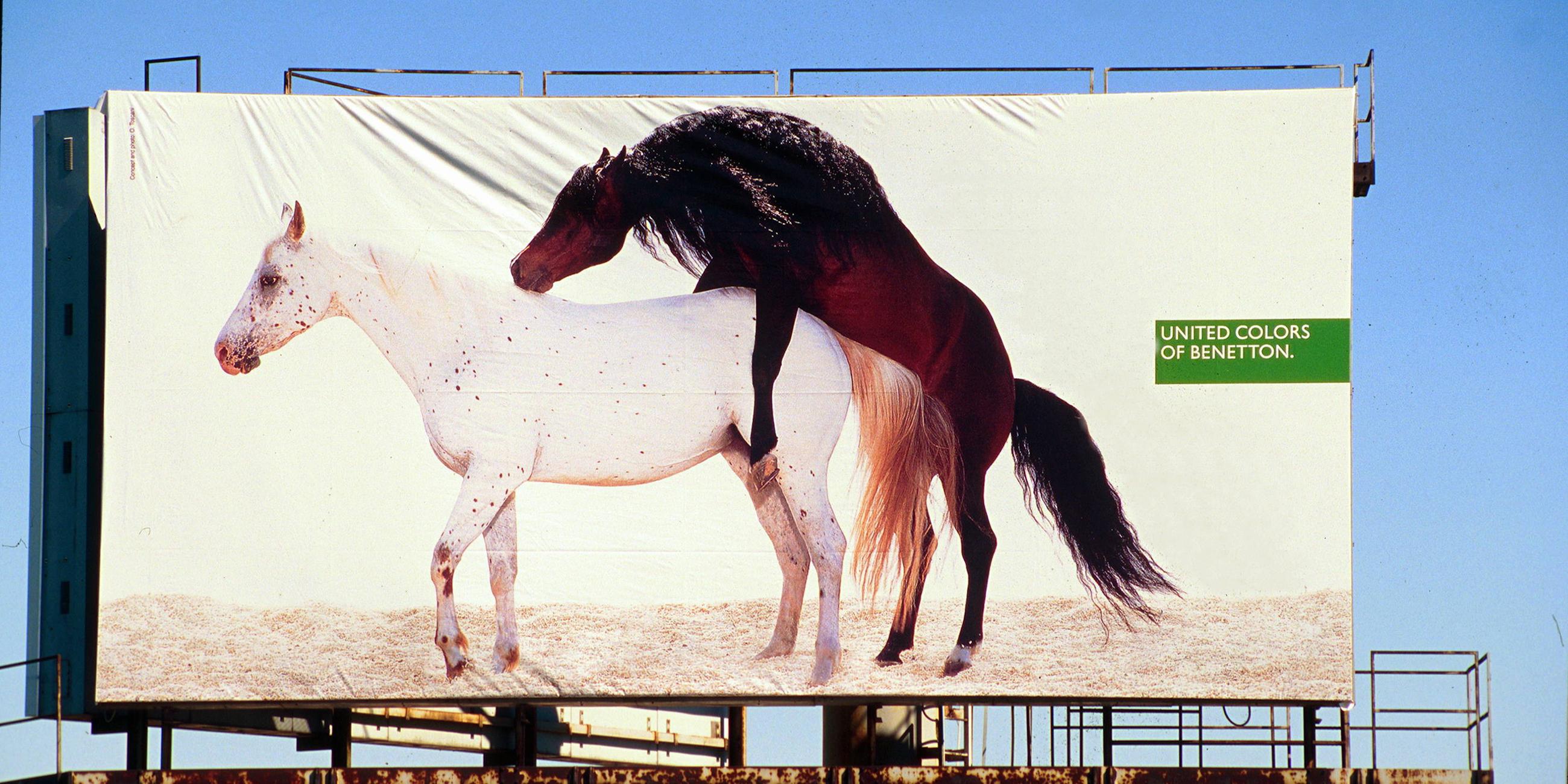 Hengst besteigt Stute - Werbung für Benetton