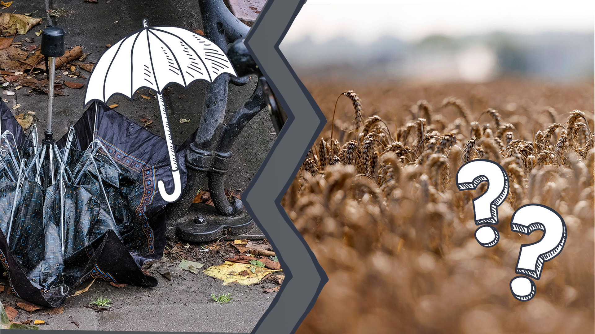 Regen und Trockenheit in Deutschland