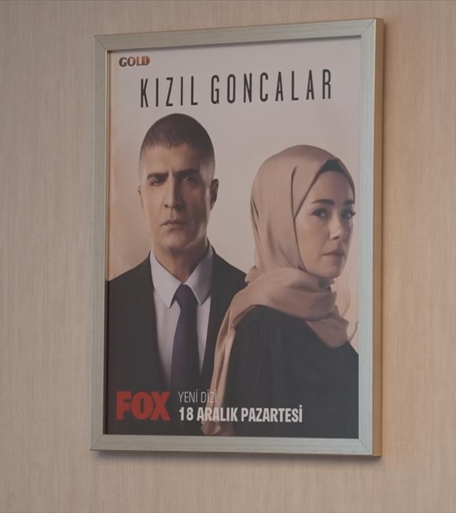 Serienplakat