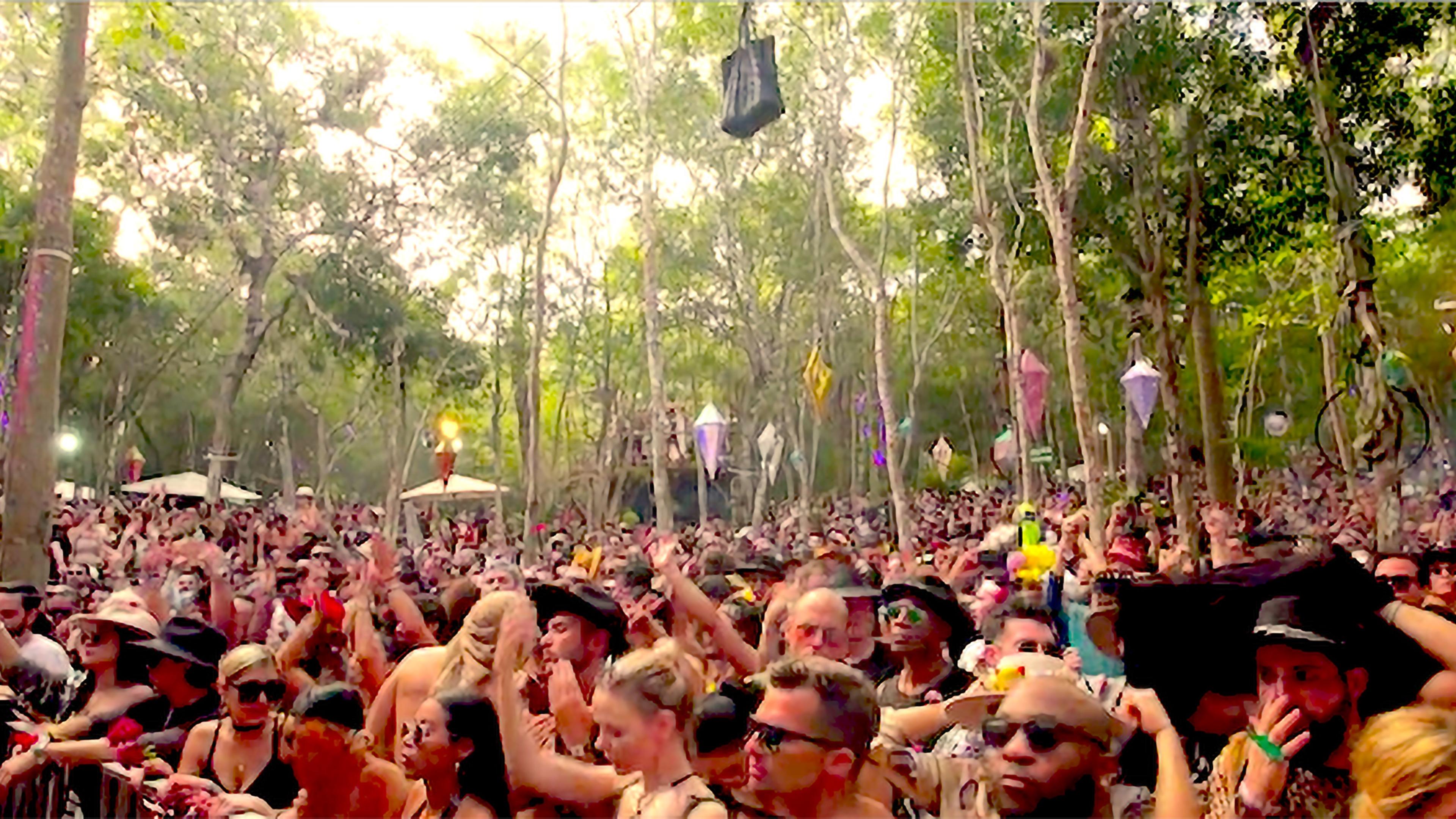 Eine Menschenmenge auf einer Party umgeben von Bäumen.