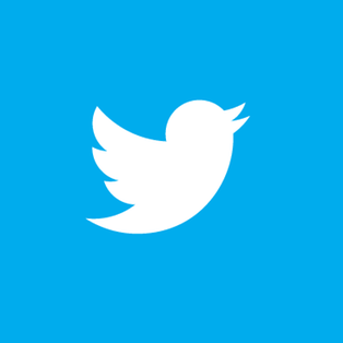 Twitter Logo mit Vogel