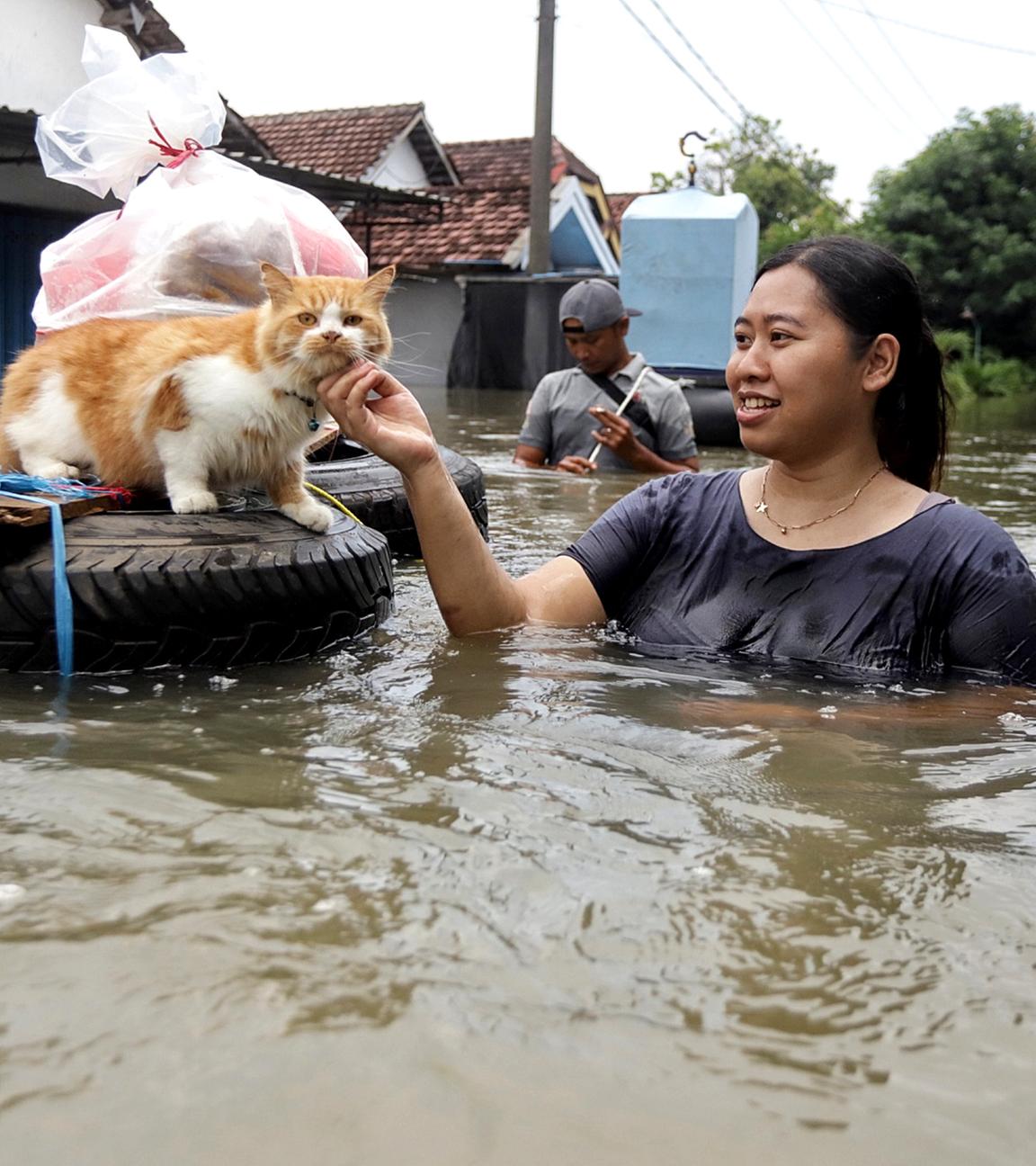 Indonesien, Jombang: Eine Frau streichelt ihre Katze, während sie durch das Hochwasser watet.