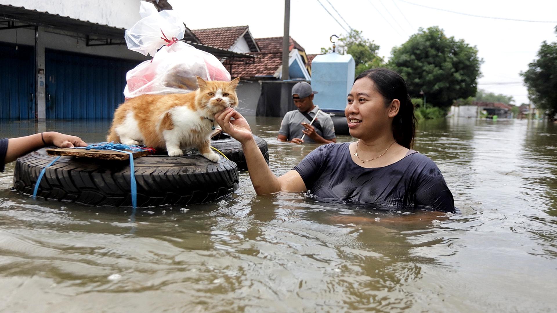 Indonesien, Jombang: Eine Frau streichelt ihre Katze, während sie durch das Hochwasser watet.