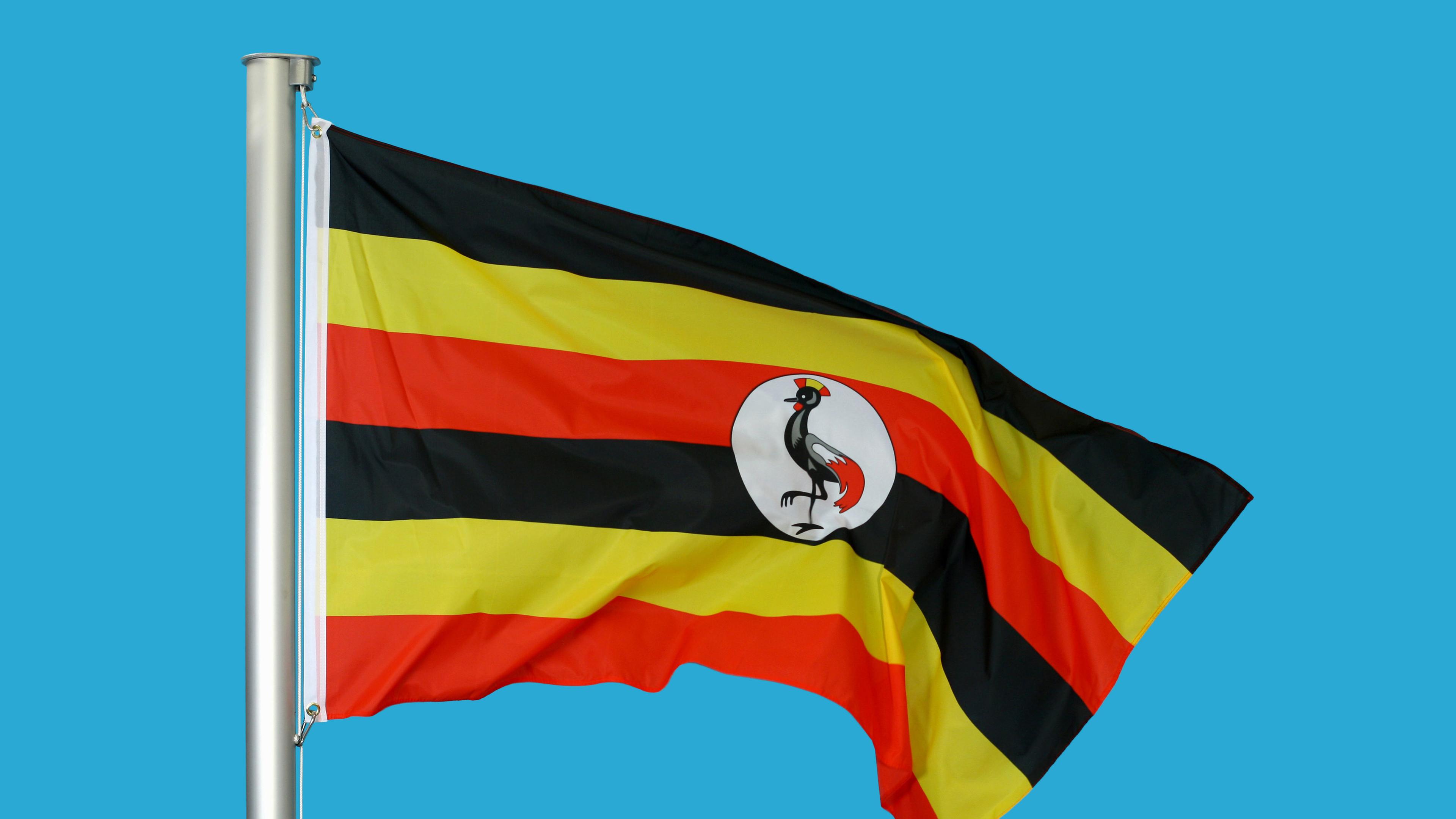 Die schwarz-gelb-rot gestreifte Flagge Ugandas mit dem Wappentier Kronenkranich darauf weht im Wind.