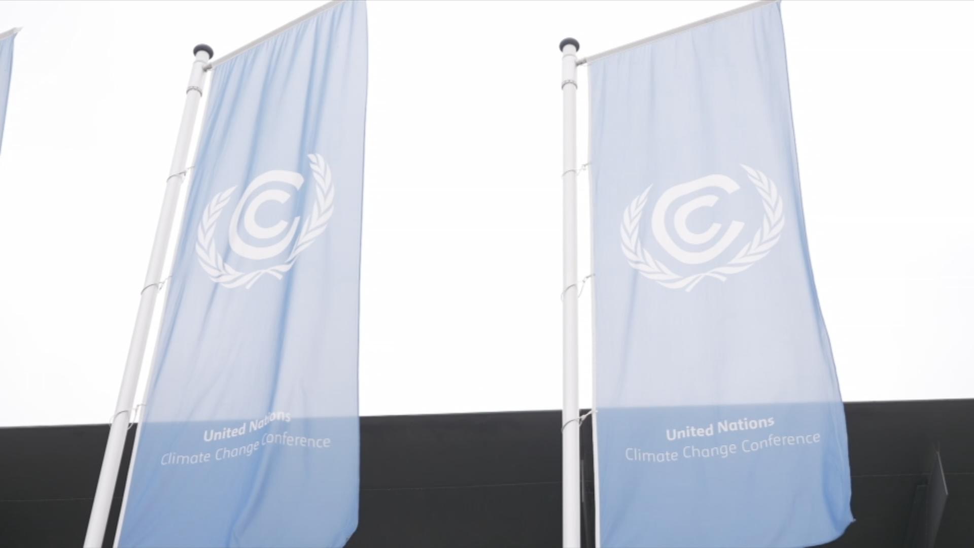 Blaue Flaggen mit UN-Logo wehen im Wind.