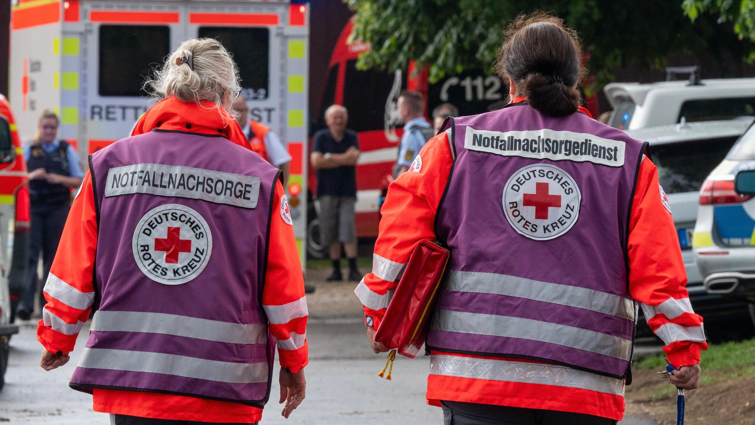 Baden-Württemberg: Mann stirbt nach Blitzeinschlag in Baum - ZDFheute