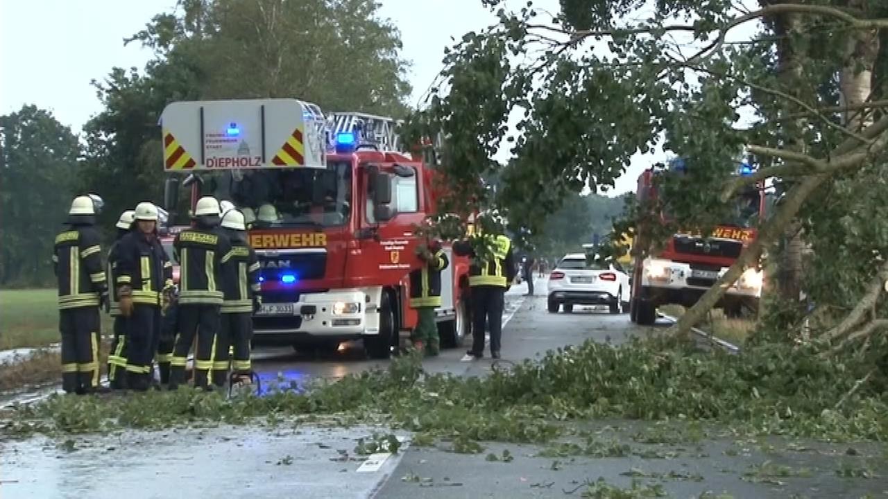 heute in deutschland: Verletzte und Zugausfälle nach Unwetter - ZDFheute