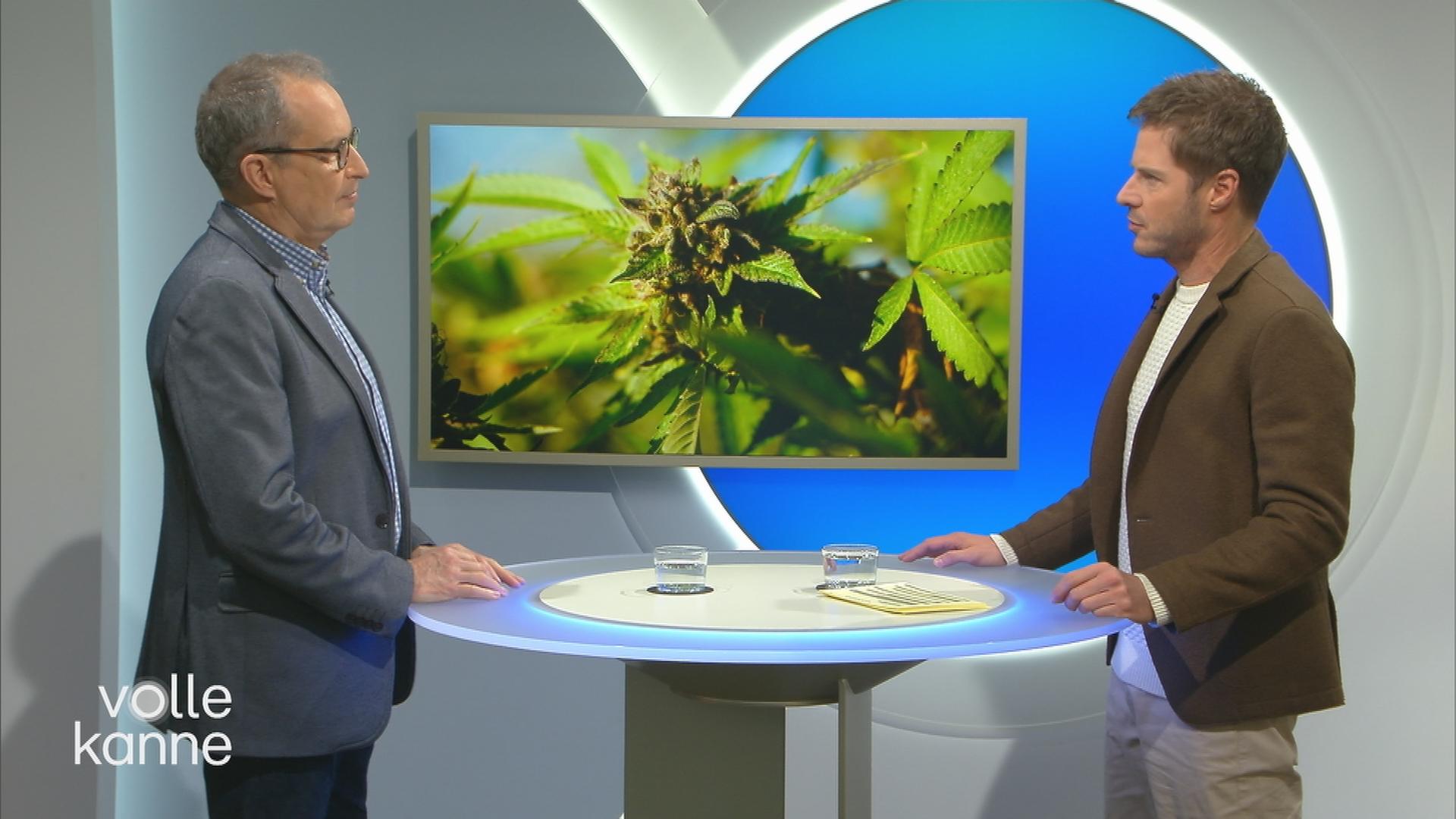 Teil-Legalisierung von Cannabis