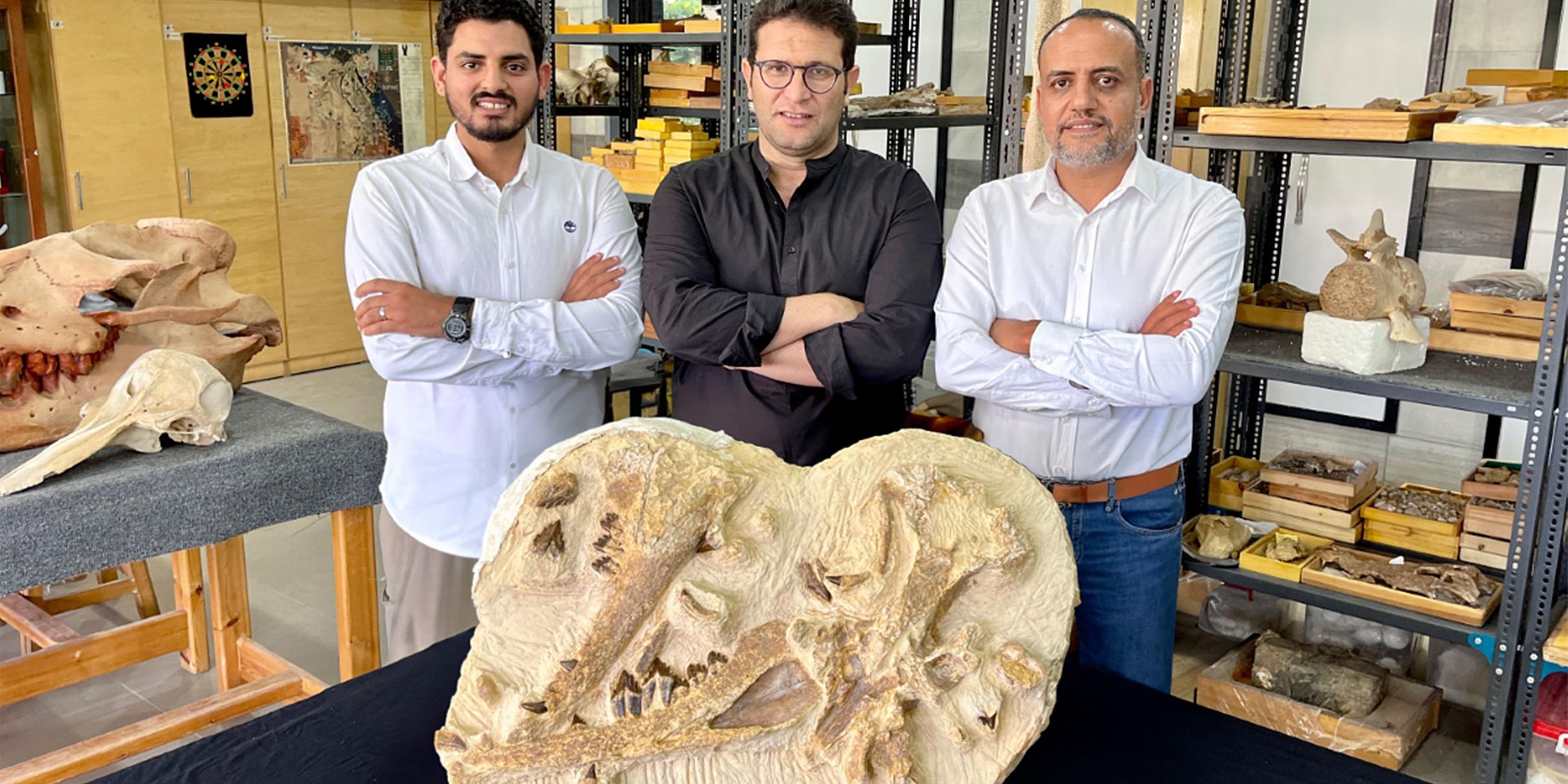 Forscher mit den fossilen Überresten des Ur-Wals.