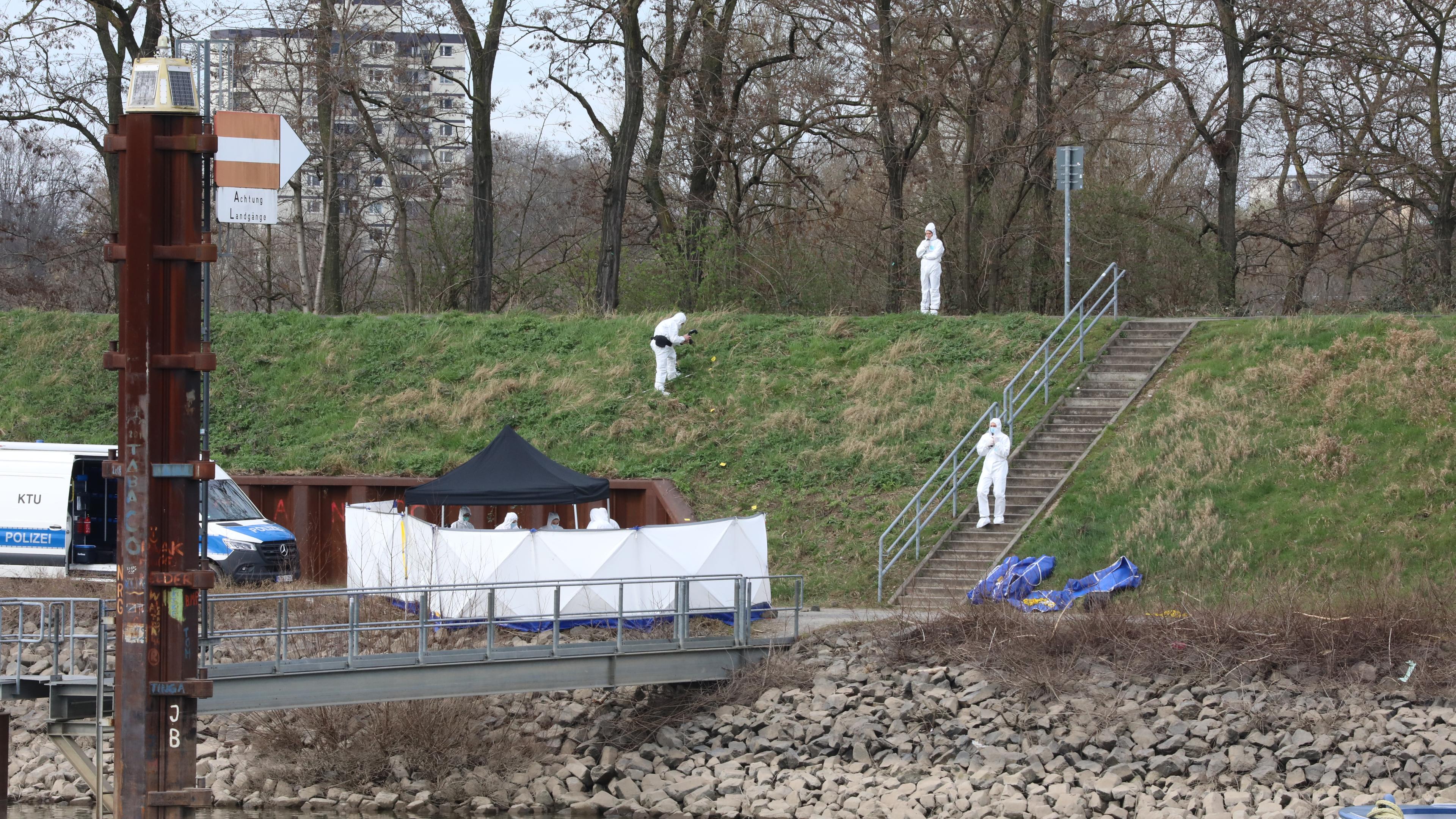 Leichenfundort und Spurensicherung am Rheinufer in Köln-Mühlheim