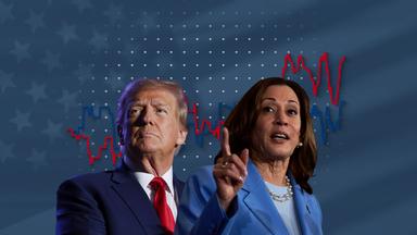 Trump vs. Harris: So steht es in den Umfragen