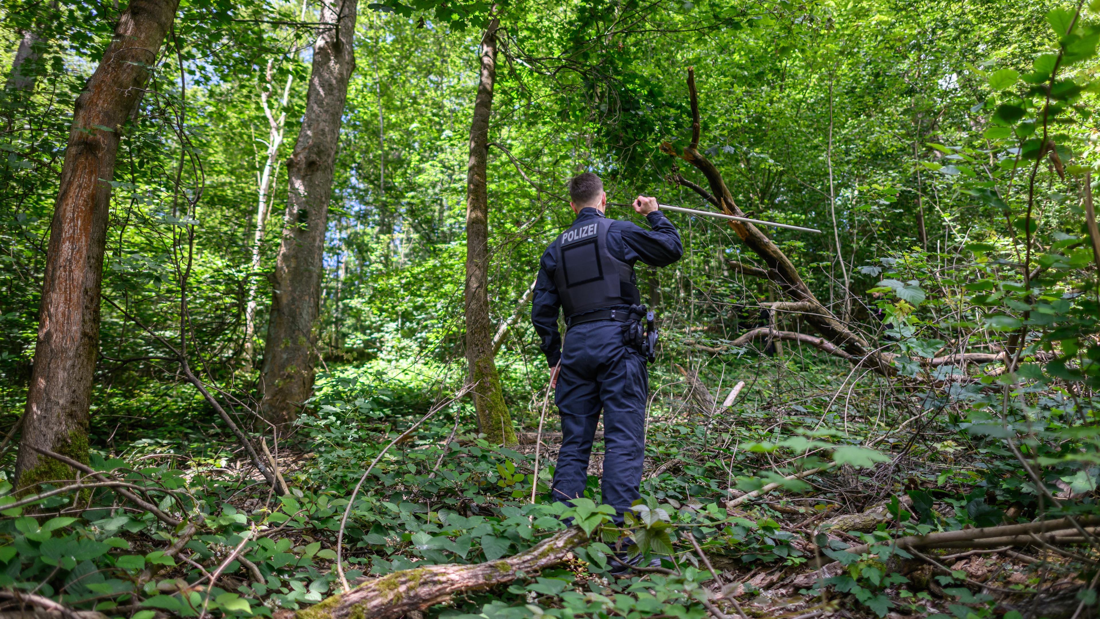 Ein Polizist ist mit einer Suchstange auf der Erkundung nach einer vermissten Grundschülerin in einem Waldstück unterwegs am 11.06.2024.